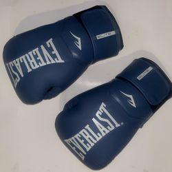 Everlast Elite 2 Boxing Gloves 