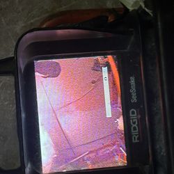Rigid See snake 