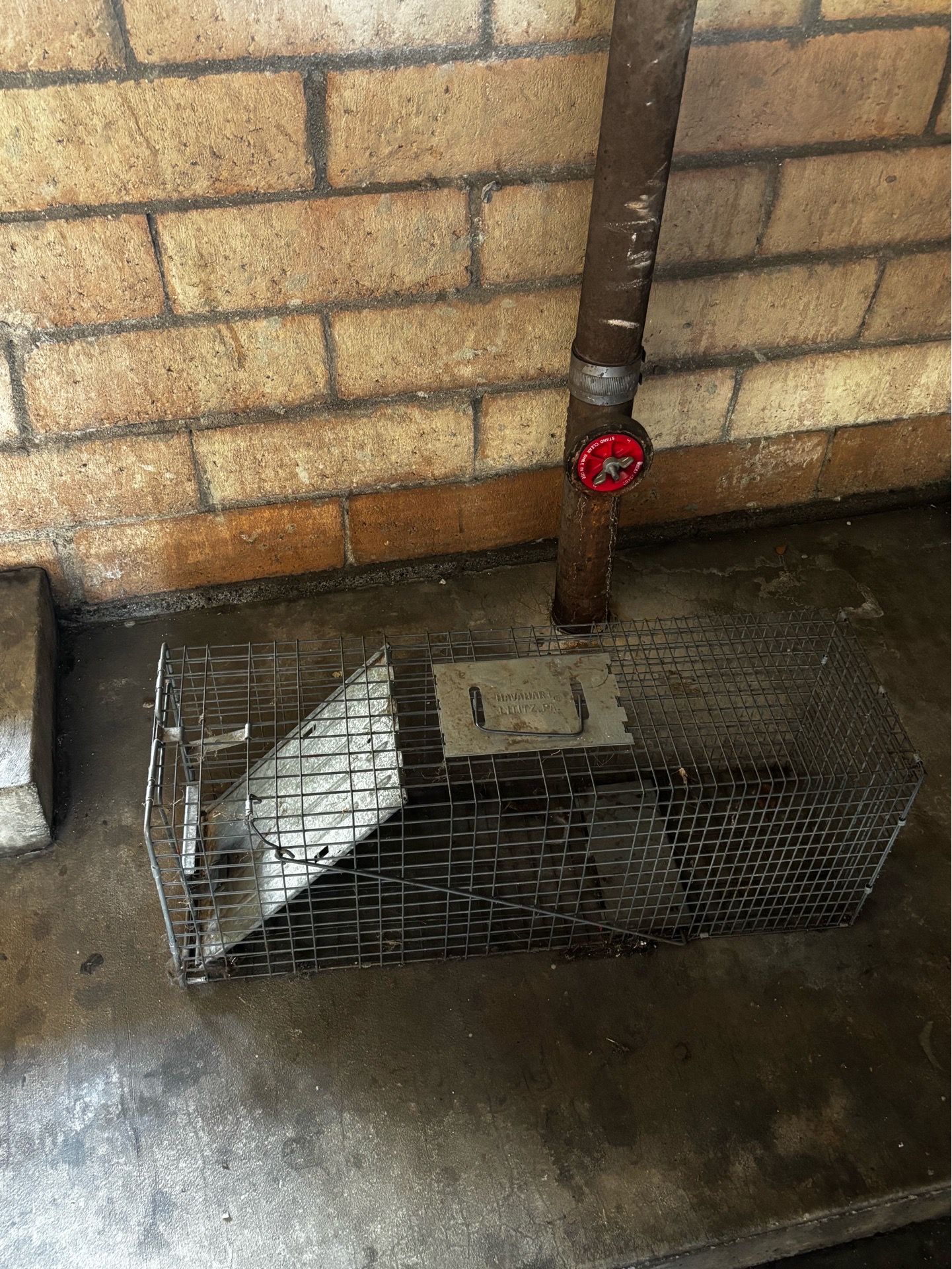 Wildlife cage