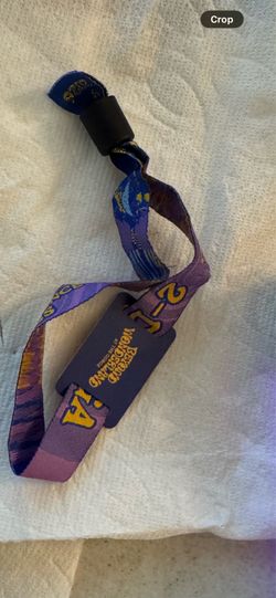 Beyond Wonderland Gorge 2-day GA