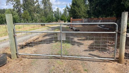 Metal Gates