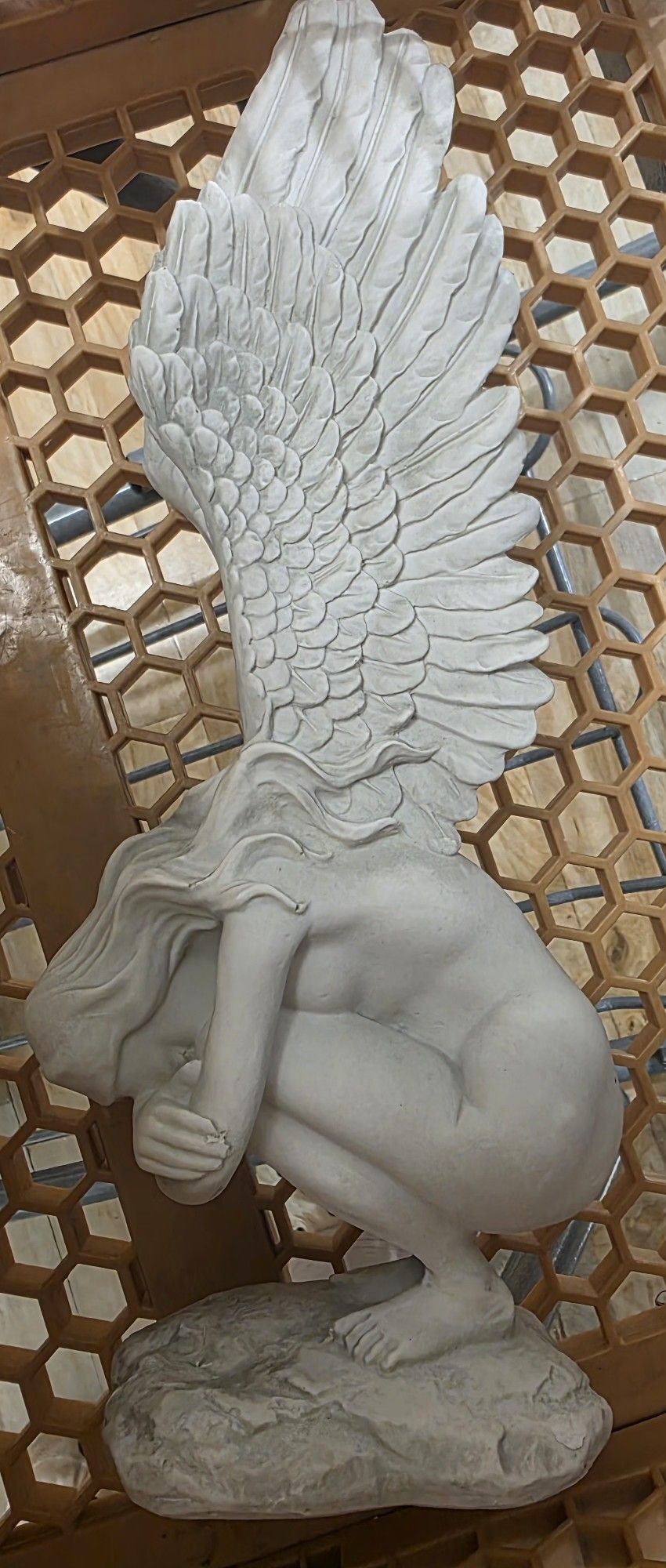 Brand New Angel Wings Cherub