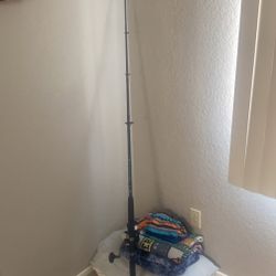 Fishing Rod