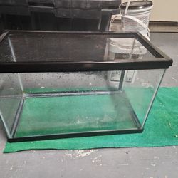 10 Gallon Tank