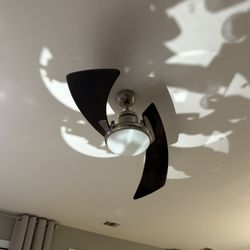 Ceiling fan