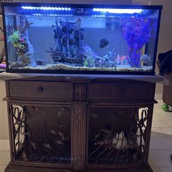 Fish Tank 