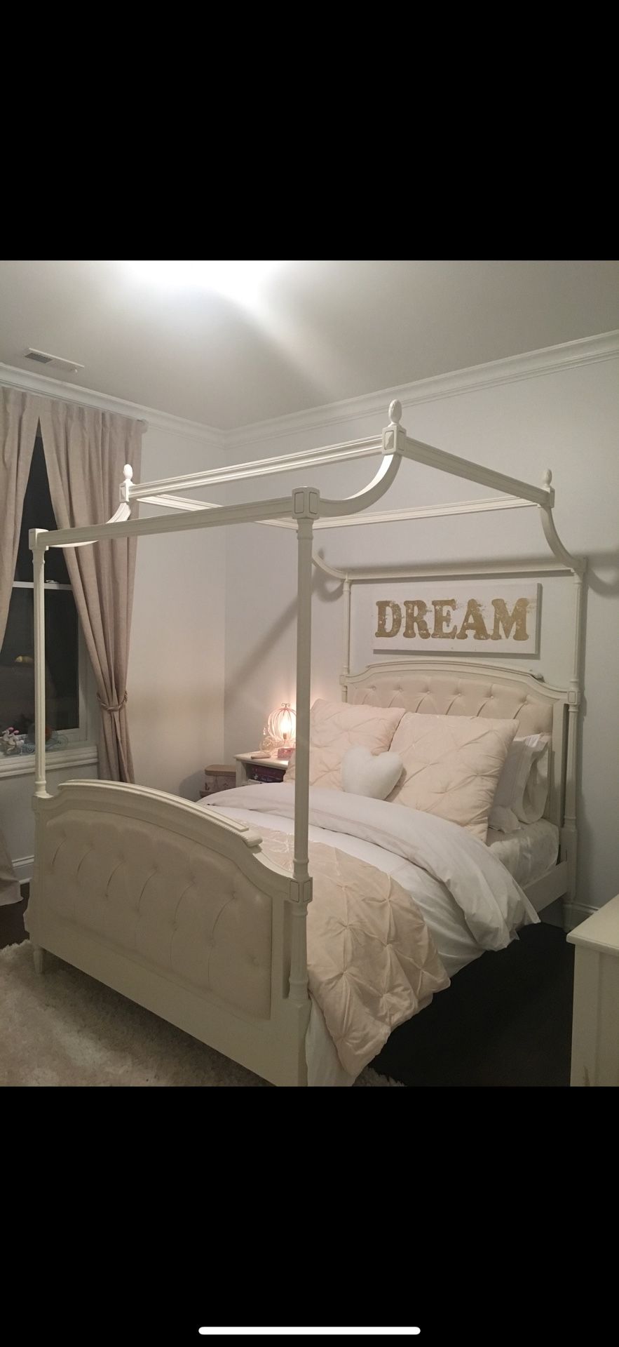 DREAM Picture