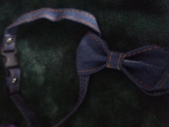 Dog Ties