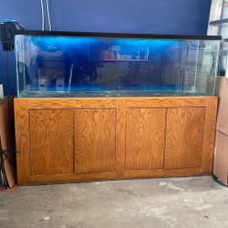 125 Gal Aquarium