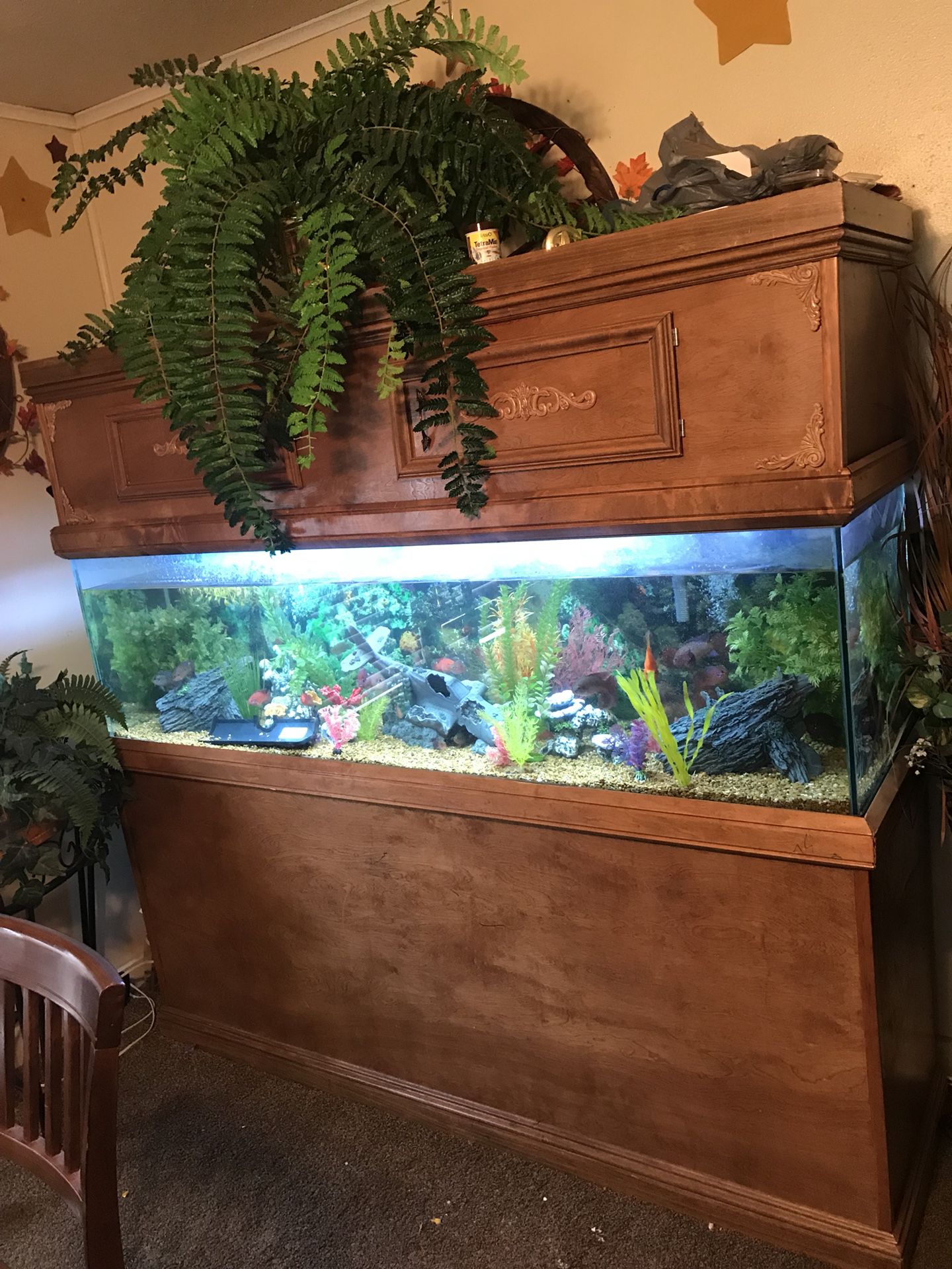 150 gallon fish tank with stand an canopy
