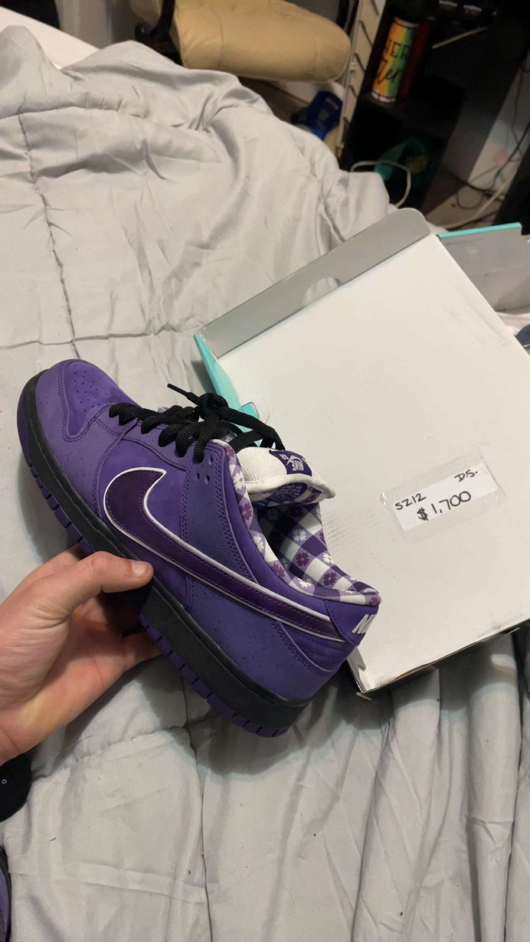 Purple Lobster Size 12 