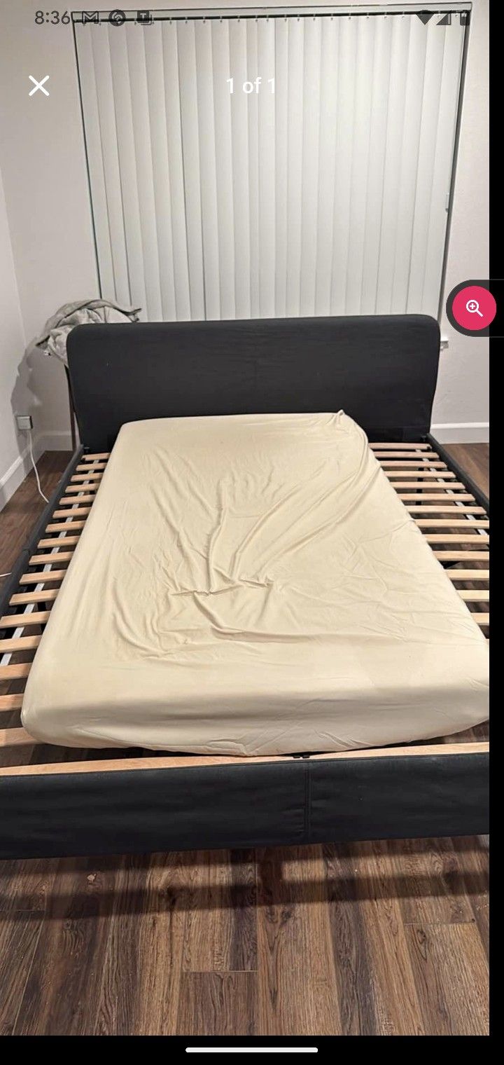 Only Bedframe  Queen Size 