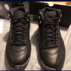 Jordan 12s