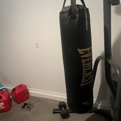 Everlast Boxing Bag And Stand 