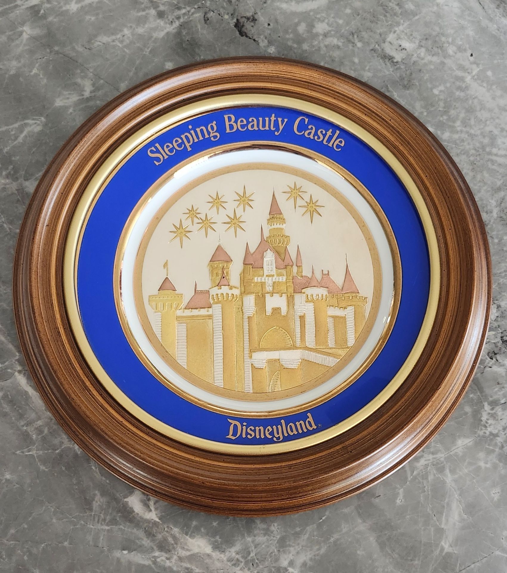 Sleeping Beauty Castle 3D Disneyland Souvenir Decorative Plate Walt Disney