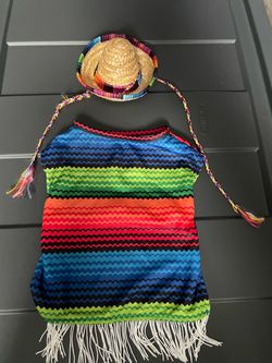 Mexican costume for dog