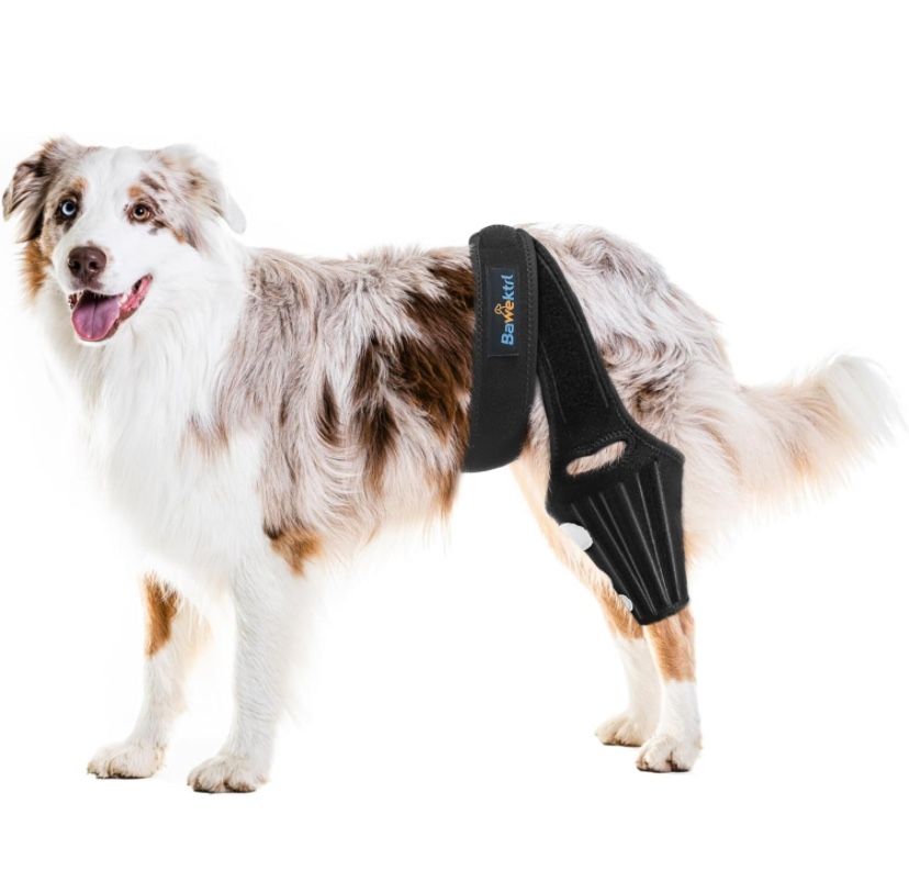 Bawektrl Dog Knee Brace for Back Leg,Cruciate Ligament Care Knee Brace for Medium