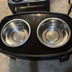Raised Dog Bowls 