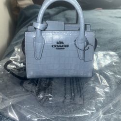 Mini Coach Purse 