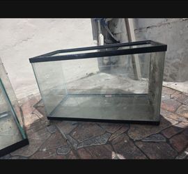 10-15 Gallon Fish Tank