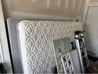 Queen Mattress and Box Spring