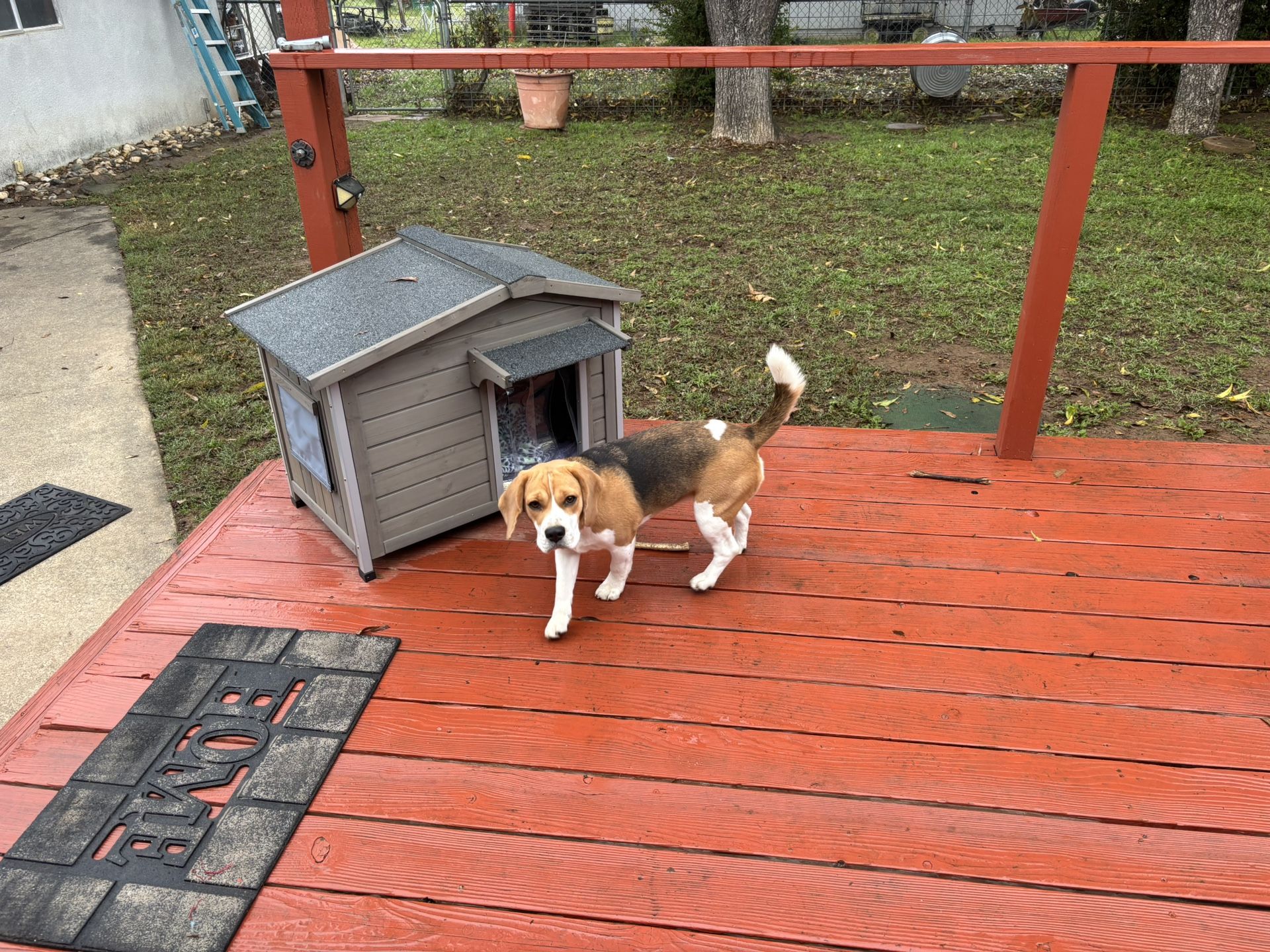 Outdoor Small Dog House -$75
