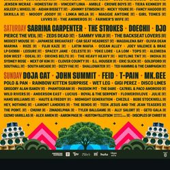 ACL Wristbands Sunday 