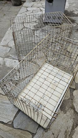 Rabit Cages