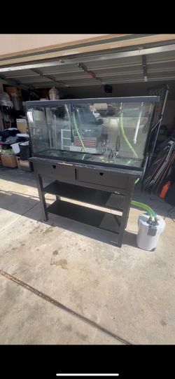 55 Gallon Full Tank Setup