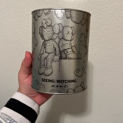 Kaws Seeing /Watching Tin Can 