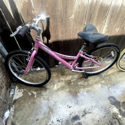 Trek MT200 Youth Pink Mountain Bike Ready to Ride 24in Girls Bike