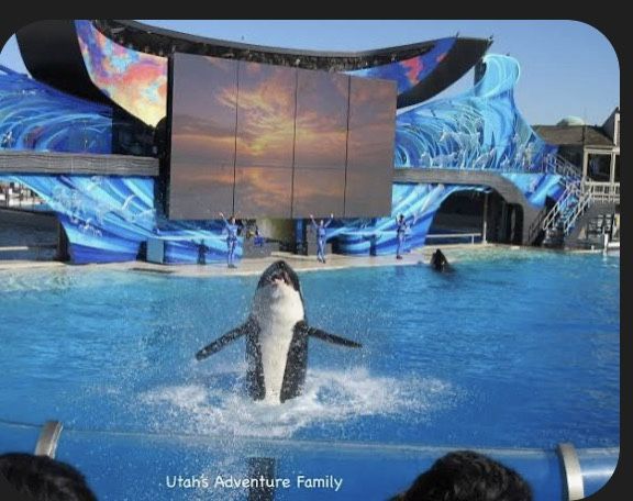 SeaWorld Orland Tickets!!!!!