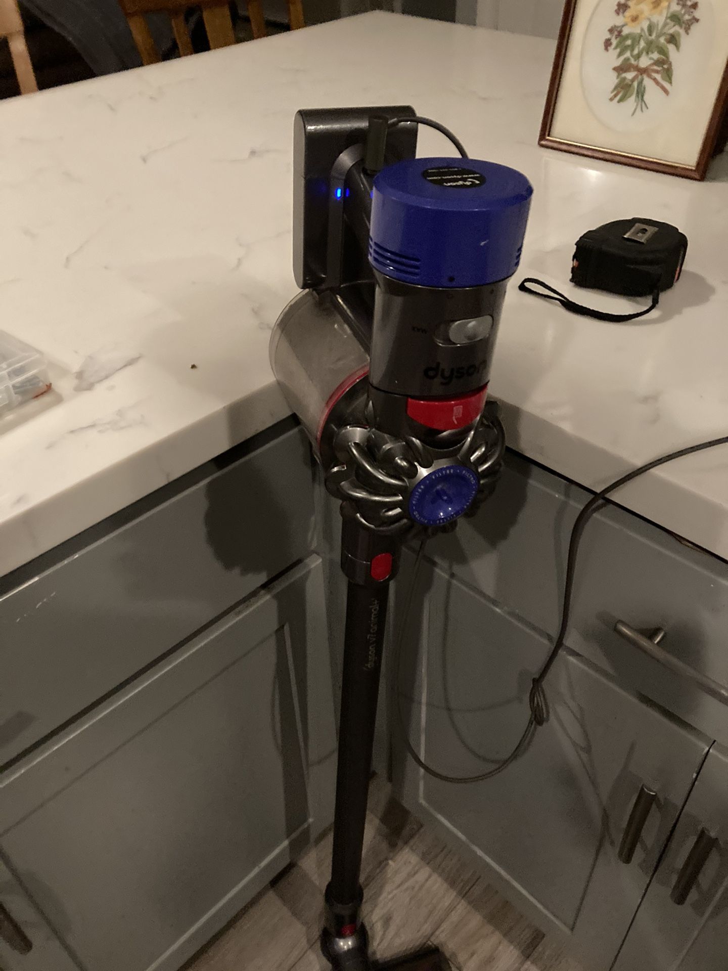 Dyson v7 animal