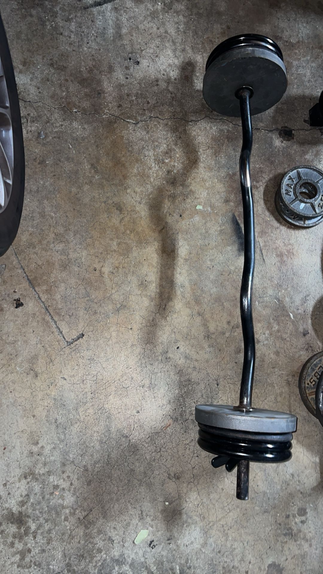 Weights And Curl Bar