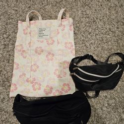 Bag And Fannypacks 