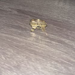 gold draco ring 