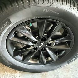 plastidip rims