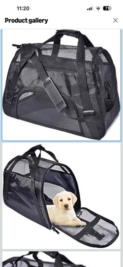 Softa-Sided Mesh Pet Carrier Bag