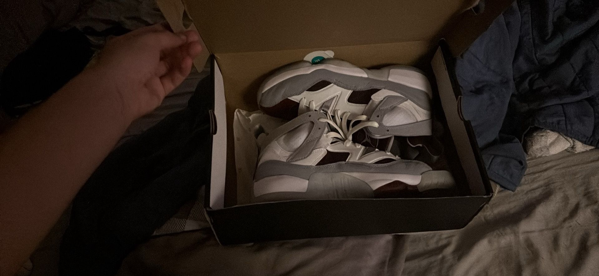 Jordan 6 (Jump-man) “Two Trey”