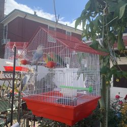 Red Bird Cage