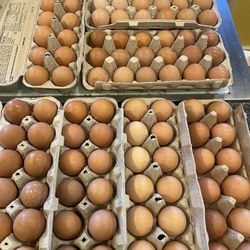 Fresh Eggs