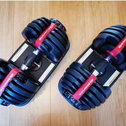 Bowflex SelectTech 552 Adjustable Dumbbells (PAIR) - 2-24 kg (5-52.5 lbs)