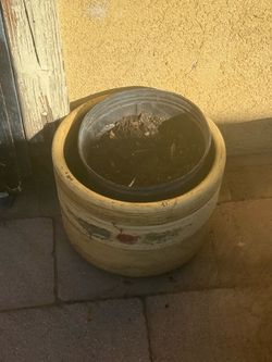 2 planter pots