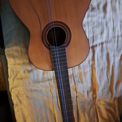 Vintage Japanese Guitar 