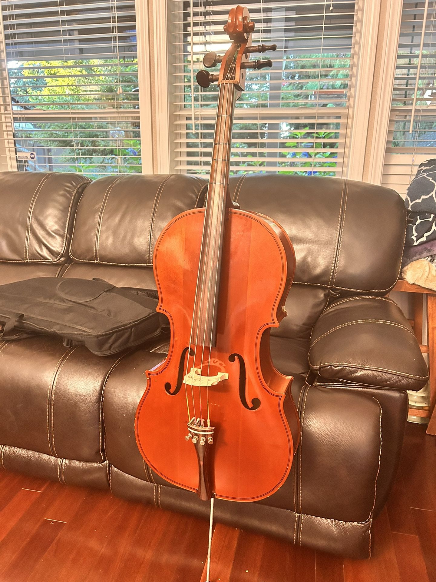 3/4 Student Cello - Engelhardt