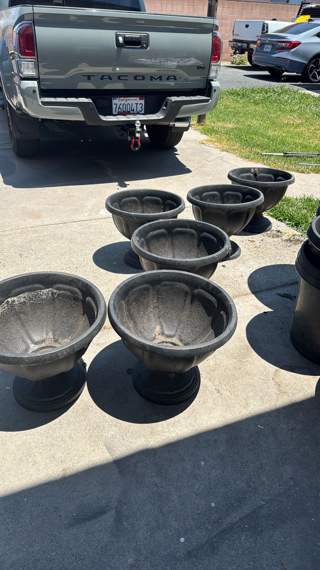 Planters ,Black , (6)