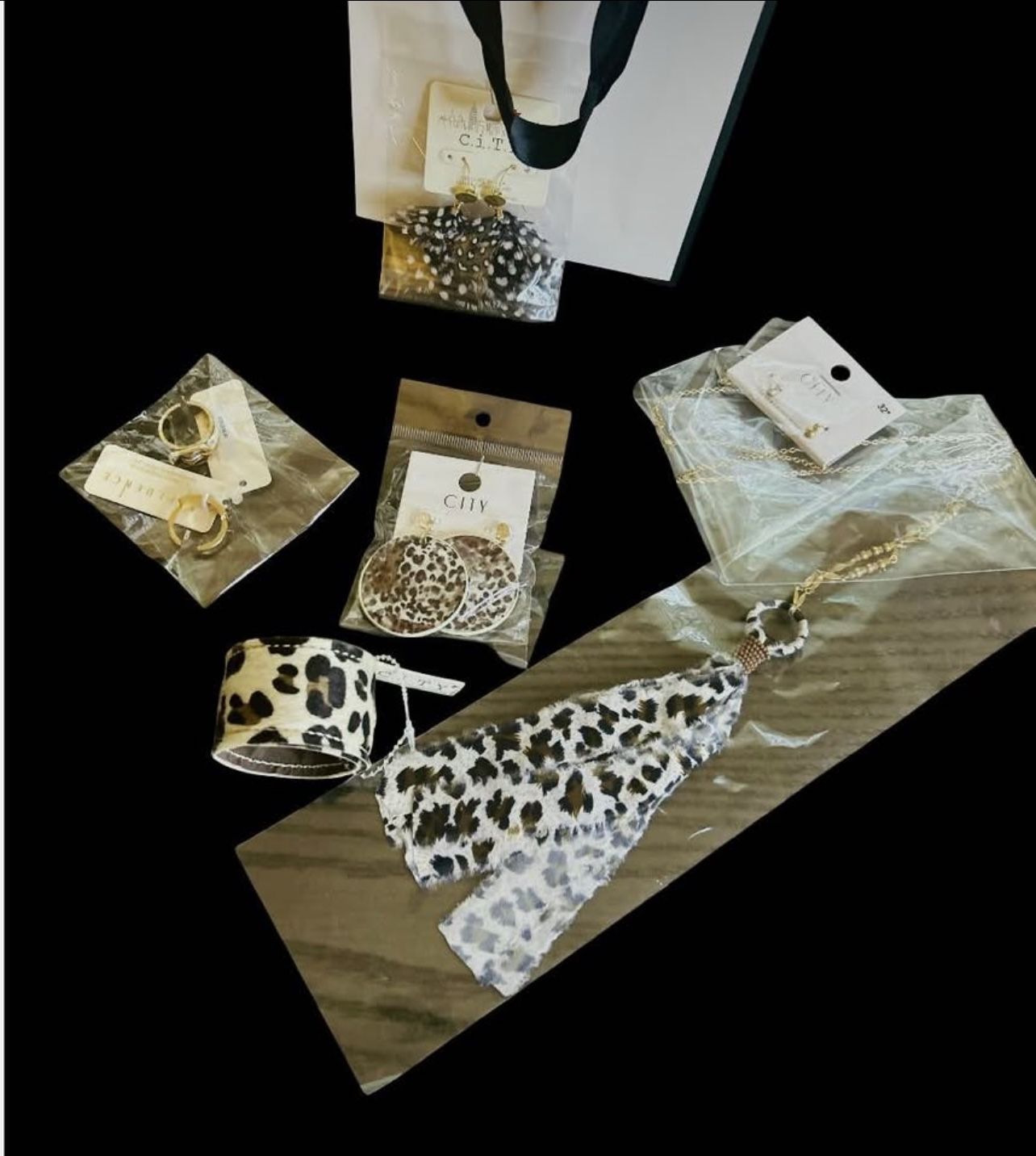 🐆 Leopard Style Accessories💫