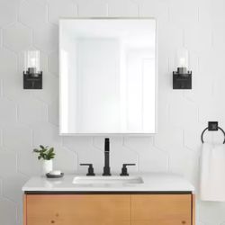 Glacier Bay 24” W x 30” H Rectangular Brushed Nickel Medicine Cabinet with Mirror 