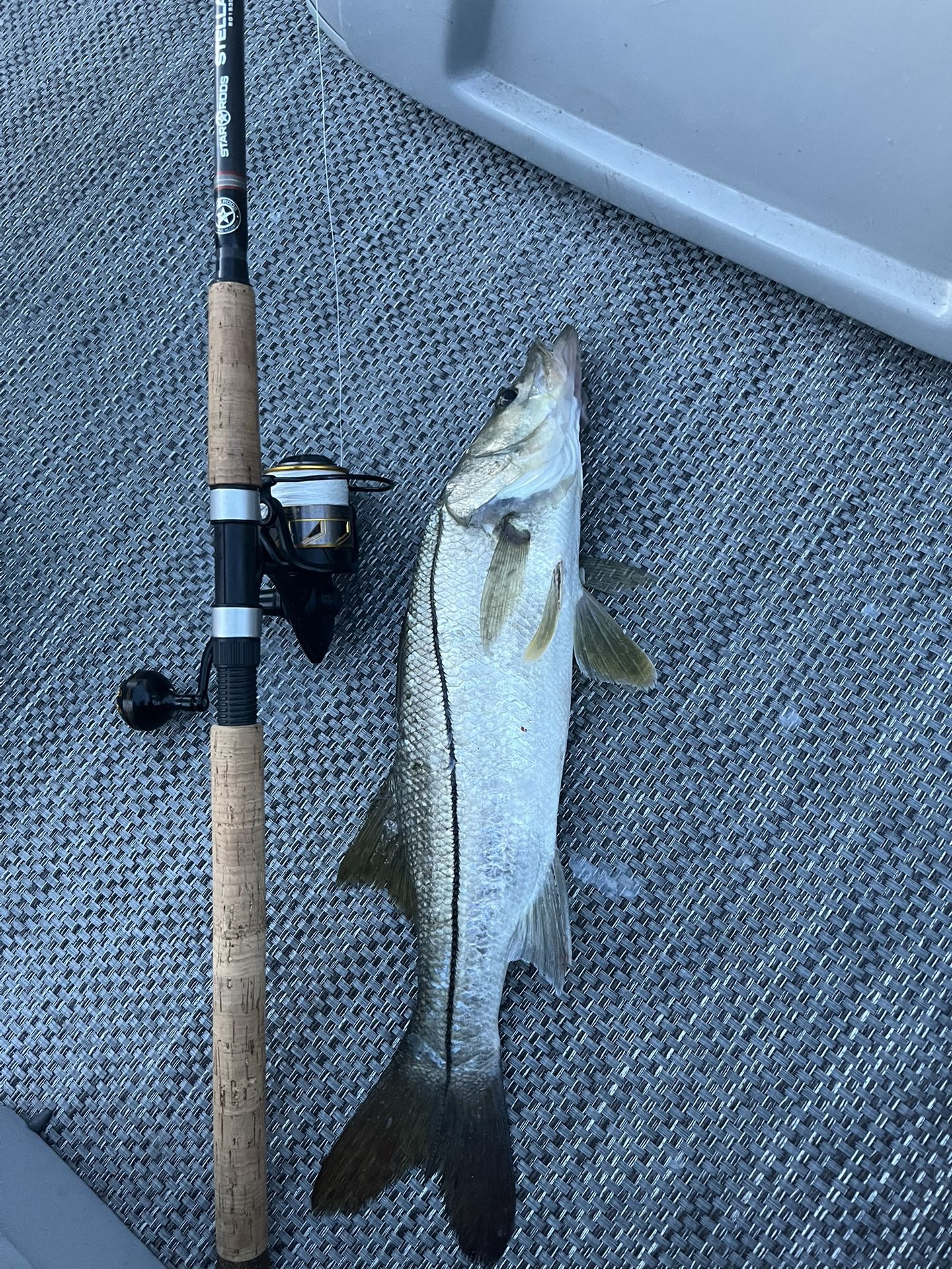 Penn Battle 3 With Gomexus Handle (Rod Is Not Included)