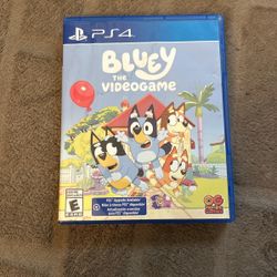 Bluey PS4 Video Game 